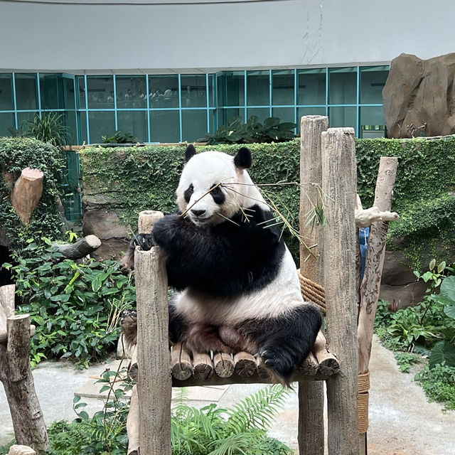 馬來西亞國家動物園