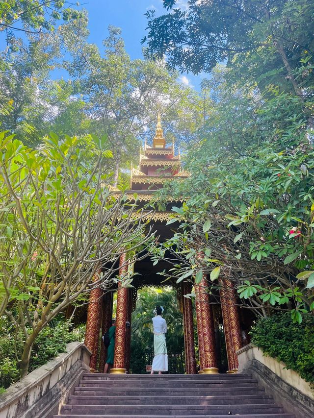 西雙版納曼聽公園|穿過千年的時光