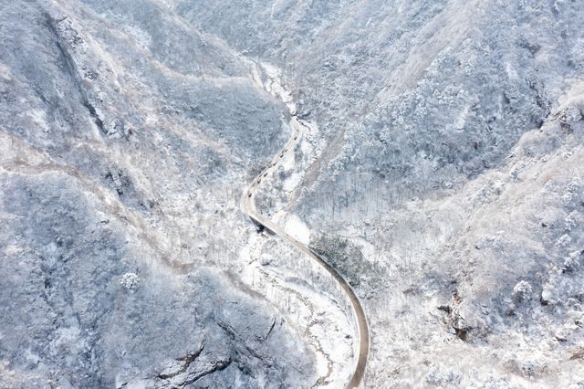 《翠華山：暢享自然之美，感受冬季樂趣》