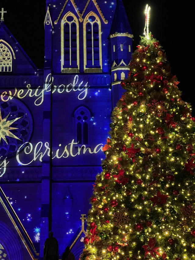 St Mary's Cathedral's Stunning Christmas Light Show