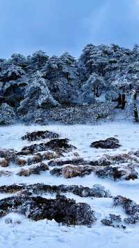 原來在大理還有這麼美的雪山