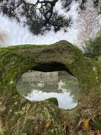 溫哥華探訪中山公園｜海外的第一座蘇式園林