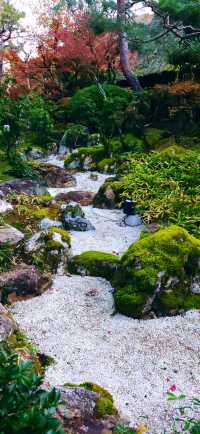 【最美紅葉季】壹湯之守之庭院：青苔覆枯石，楓葉飄零其間