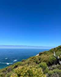 夢幻之境！Chapman's Peak View Point