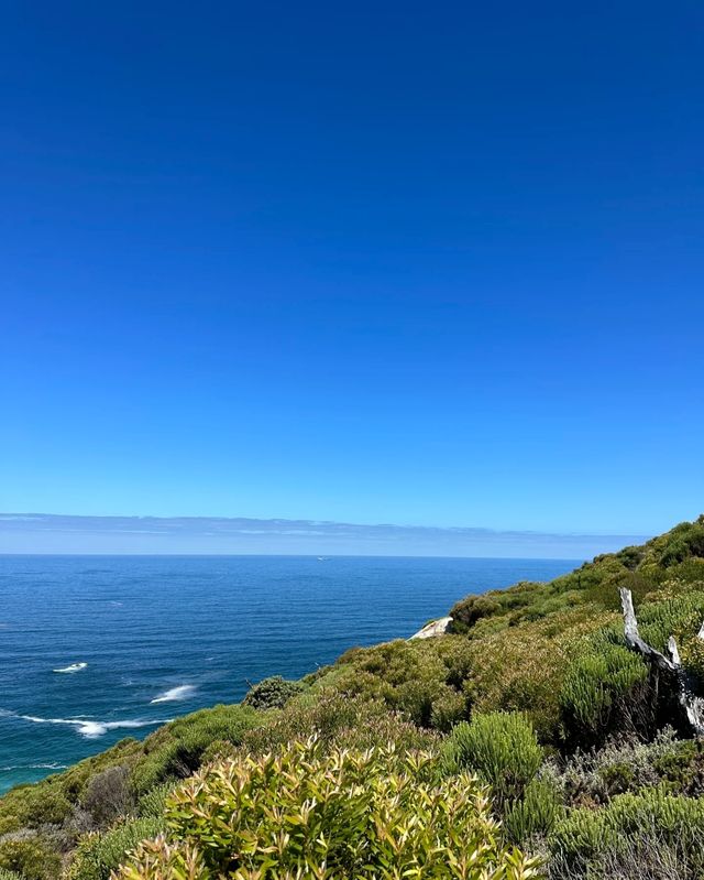 夢幻之境！Chapman's Peak View Point