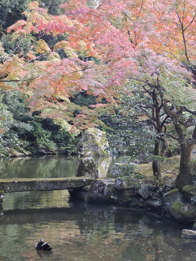 6天暢遊日本 盡享溫泉之旅