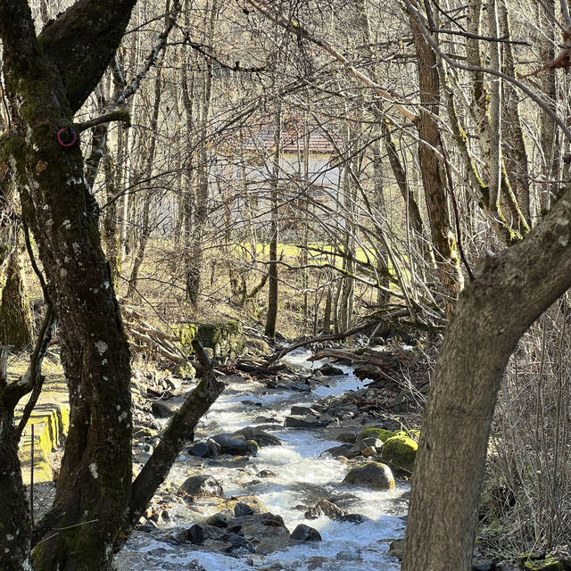 Quick escape from Sofia - Rila Monastery