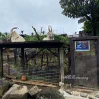 伊豆仙人掌動物園🌵