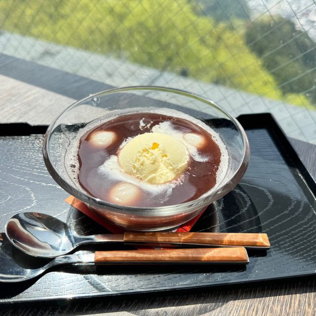 岐阜縣岐阜城半日遊｜松鼠館、金華登山纜車、美食午餐