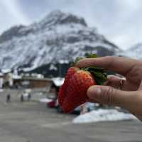 Babies Across Switzerland