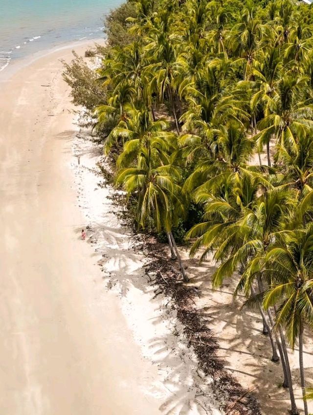 Discover the Magic of Port Douglas 🌴✨ 🦘