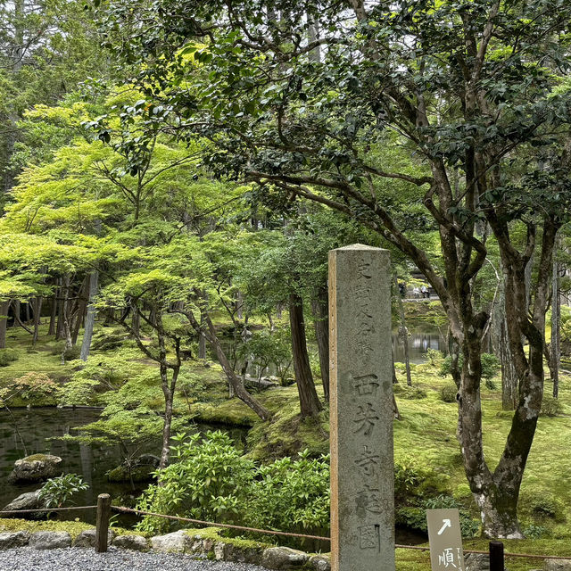 【苔寺】千年歷史，1-1.5小時遊覽