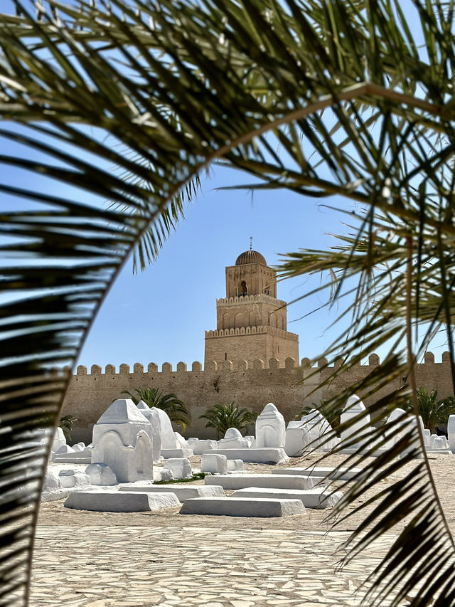 Tunisia’s Ancient Islamic City and UNESCO Heritage Site 🕌