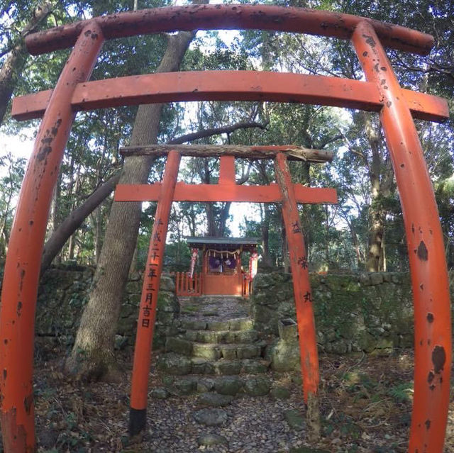 Experience Spiritual Camping at Koyasan