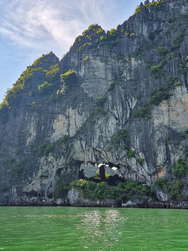 Embracing Nature’s Serenity in Halong Bay