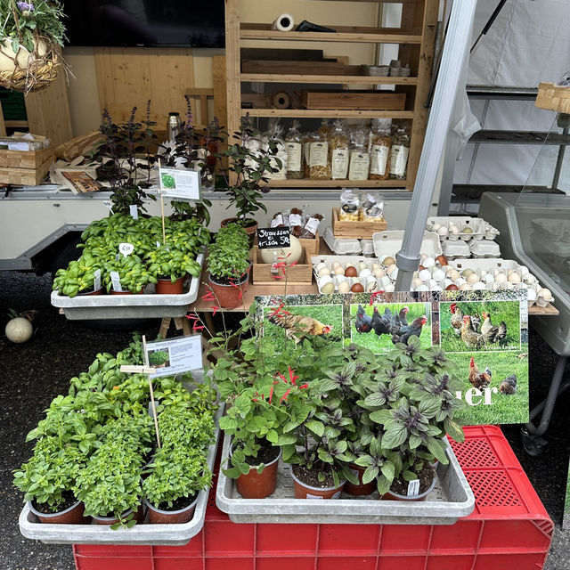 Taste the Tradition: Exploring Lucerne’s Weekly Market 🇨🇭