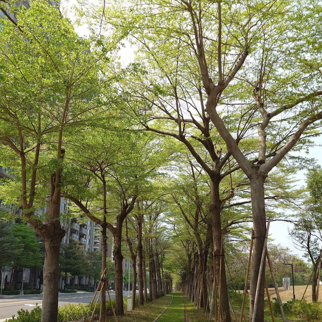 高雄市立美術館：藝術愛好者的天堂