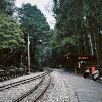 Alishan National Forest Recreation Area