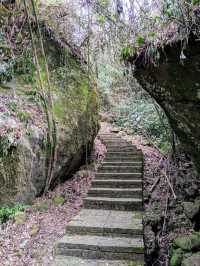 漫步奮起湖森林步道：小百岳大凍山