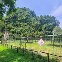 Gunung Lang Recreational Park