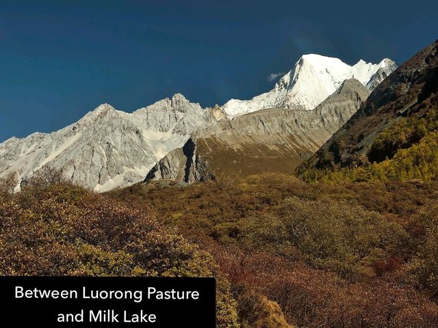 Best Autumn Viewing Experience 1/3 [Luorong Pasture, Yading Nature Reserve]