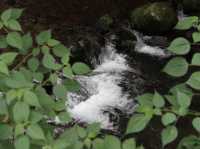 Discover Serenity at Kibune-Jinja Shrine in Kyoto