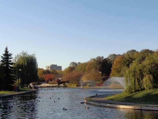 Beggining of autumn in Bródnowski Park 🗺️