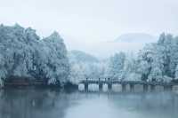 聽說很多人不相信這是廬山的雪景