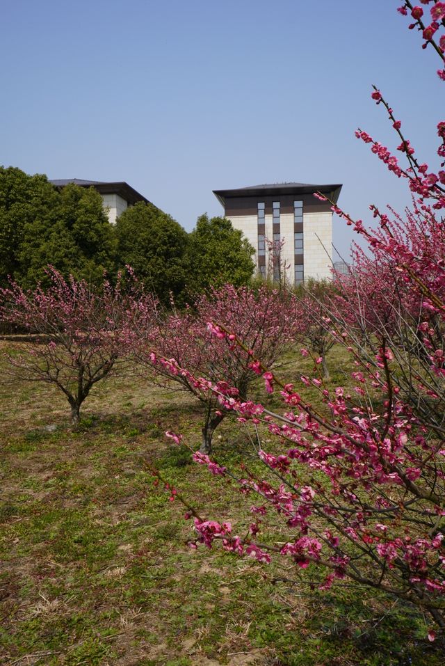 入住東太湖大酒店