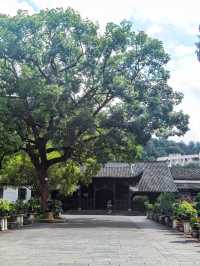 舊日禁軍署考試院  今日免費參觀長汀縣博物館