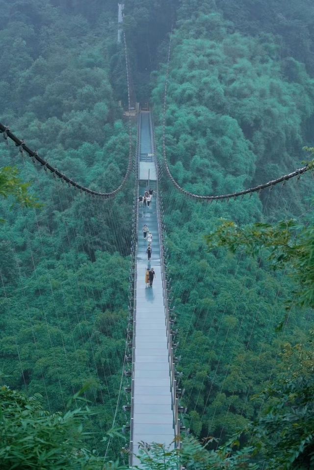 川西竹海風景