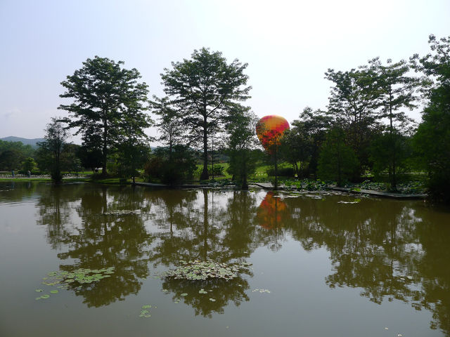 景洪·熱帶植物園西區——園藝的巔峰之作。