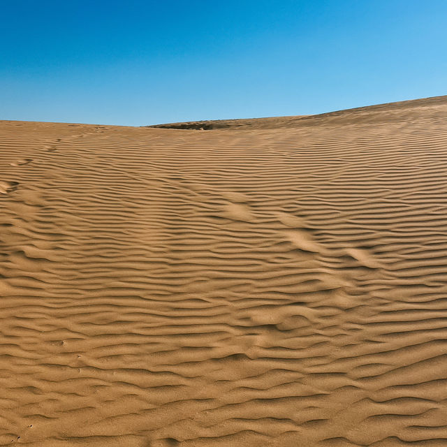 A Unique Desert Experience in Inner Mongolia