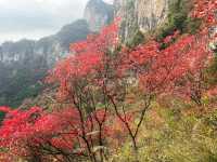 重慶巫山|南方最美紅葉勝地。