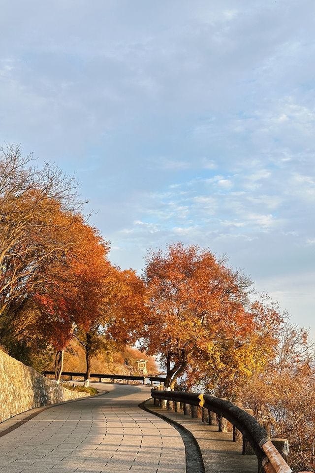 合肥市姥山島景區情侶周末旅遊攻略。