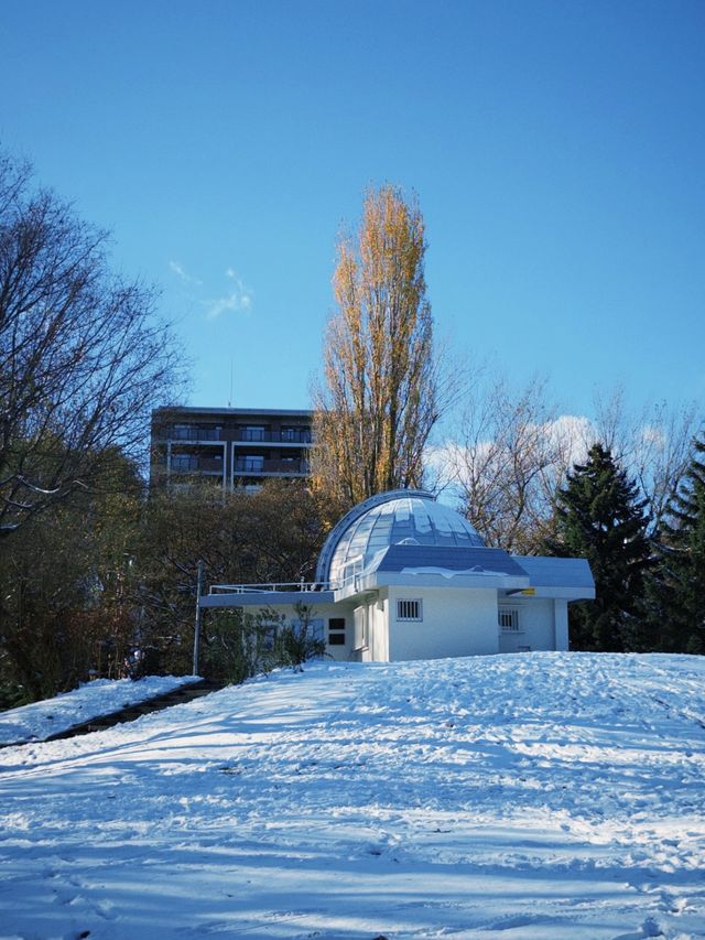 誰懂啊為什麼我去北海道之前沒刷到