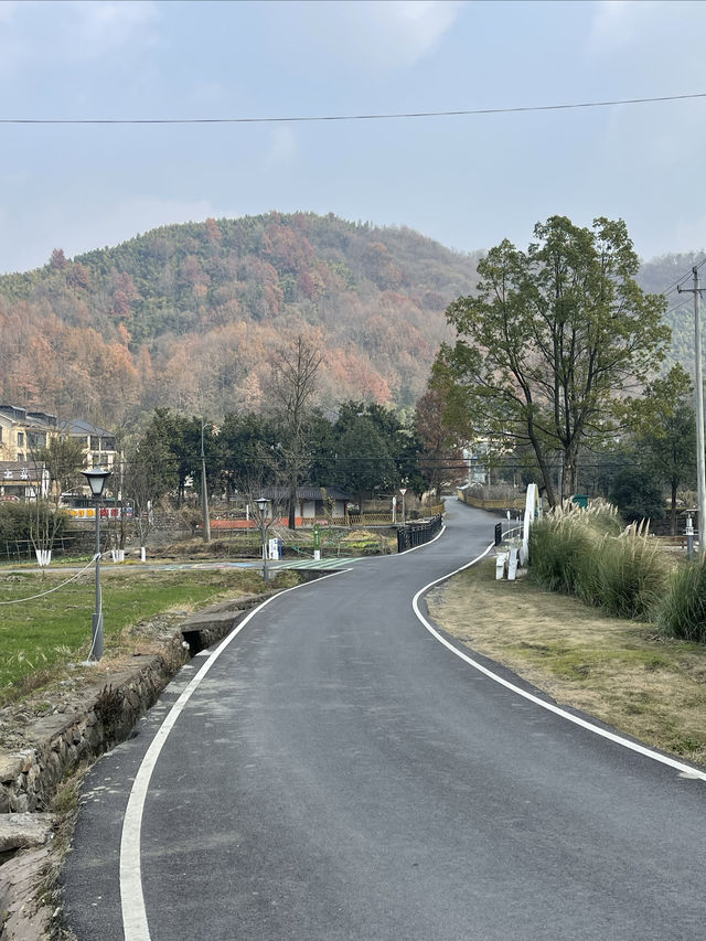 鄉村路上的風景線|銀坑村