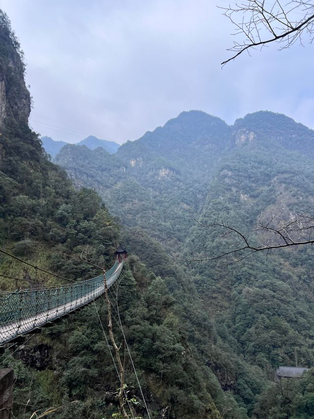 金華牛頭山國家森林公園｜金華八婺第一峰"