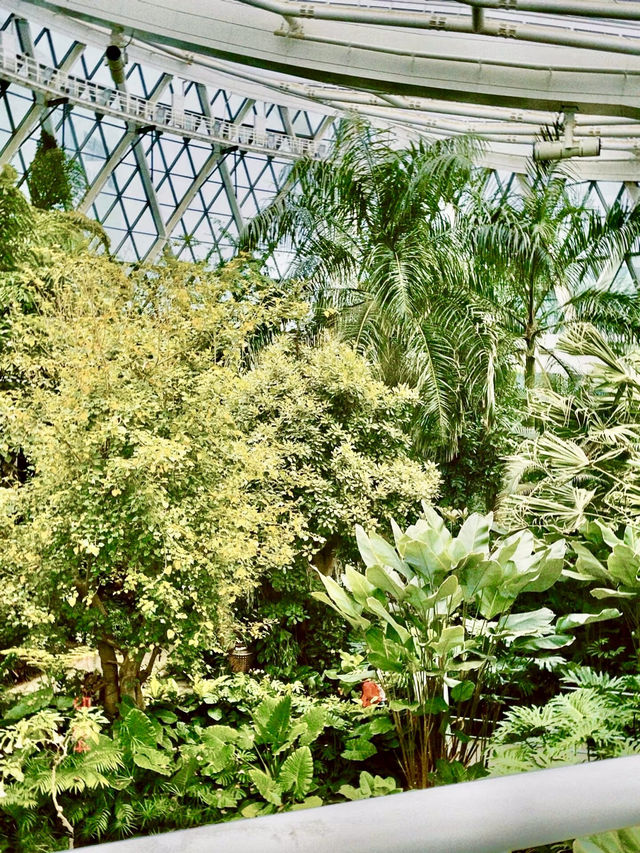 首爾植物園的綠意之旅