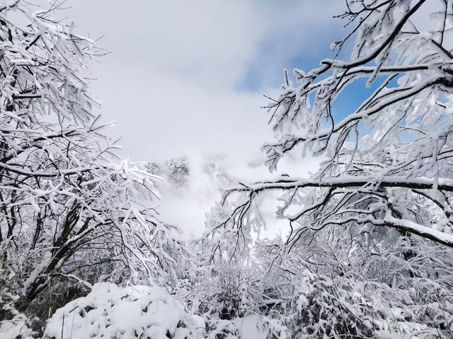 四川峨眉山 | 赴一場冬日的日出