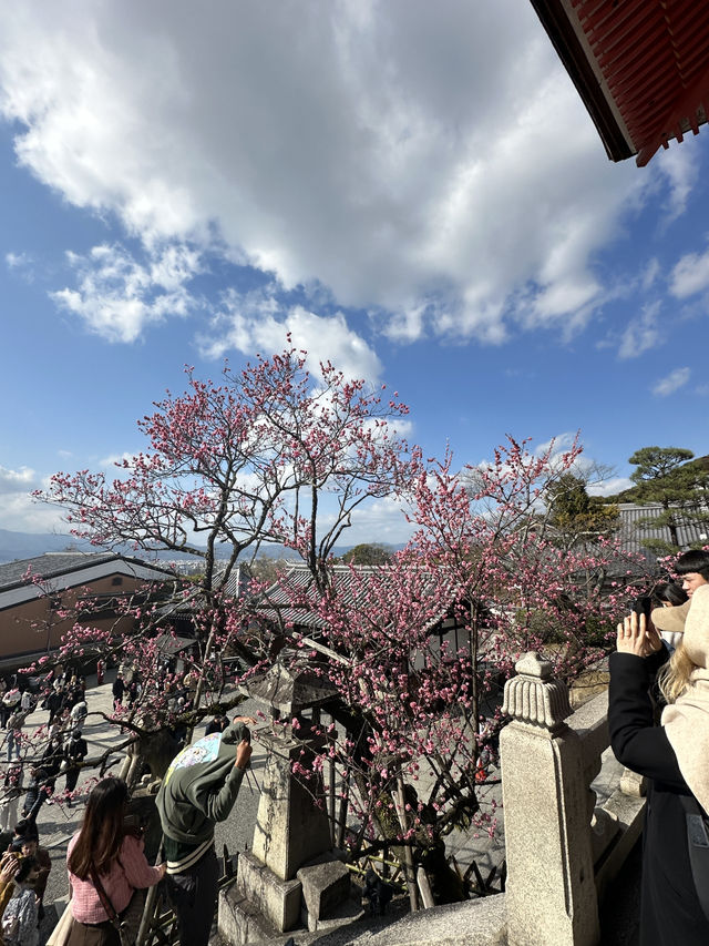 京都限定記憶-清水寺