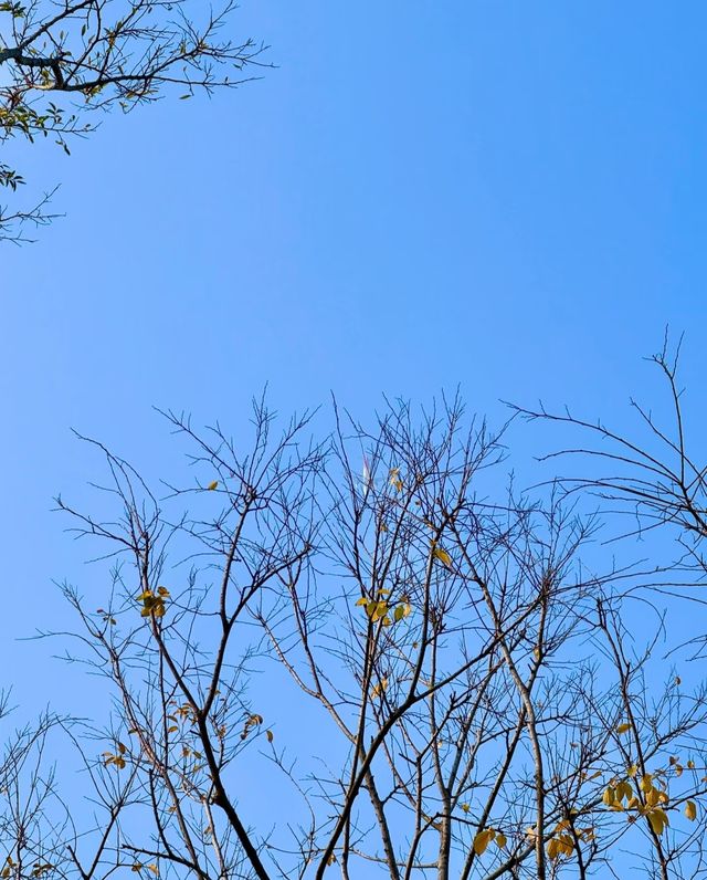 又發現深圳一個小眾公園天幕帳篷騎行