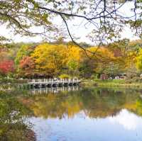 Beautiful Autumn of Korean Folk Village 