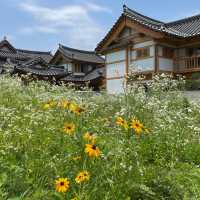 Underrated Hanok Village 🏠