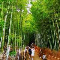 保津川漂流•渡月橋•竹林小徑•嵯峨野觀光小火車