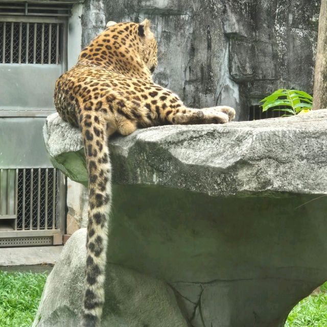 廣州動物園