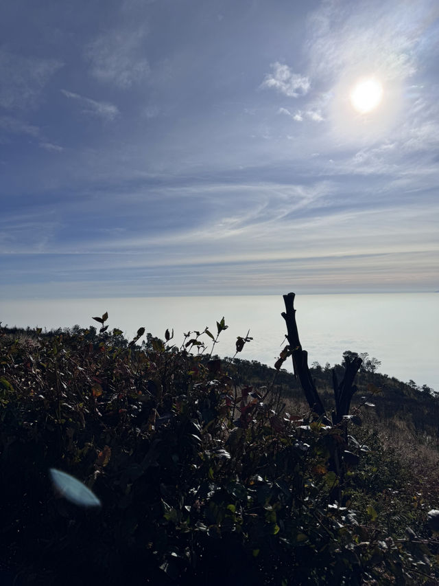 A Beautiful View From Mt. Lawu ⛰️