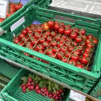 Taste the Tradition: Exploring Lucerne’s Weekly Market 🇨🇭