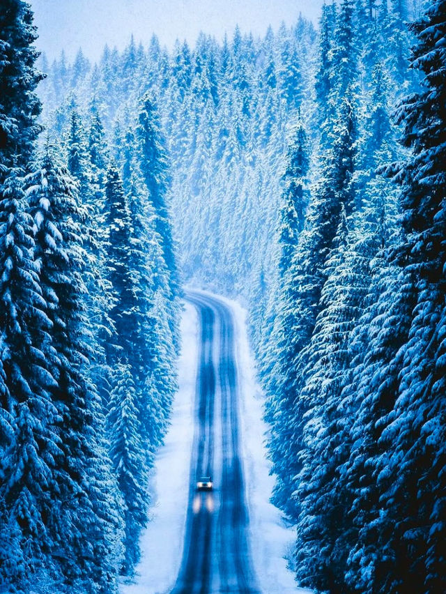 Winter Exploring in Oregon: A Majestic Wonderland 