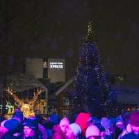 Christmas is Taking Over Tromsø